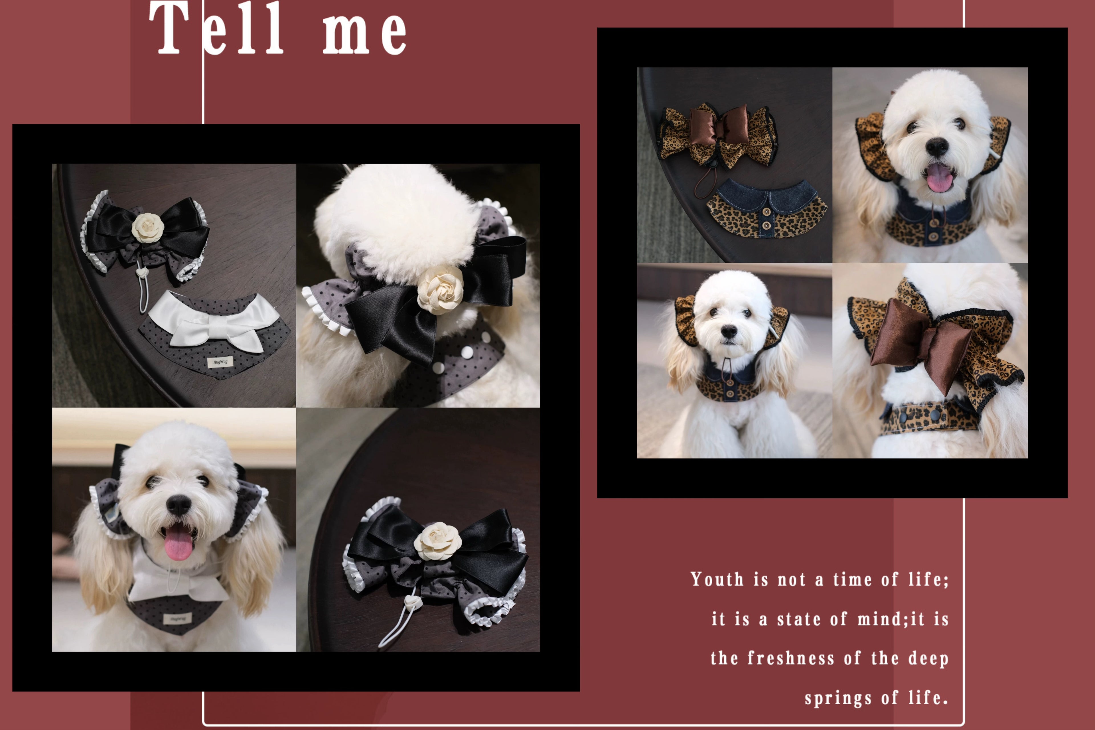 slider image slider_item_mUPhmw
