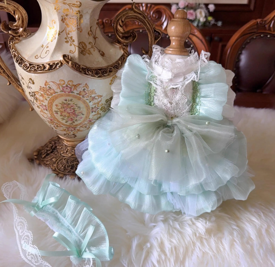 The Aqua Dream