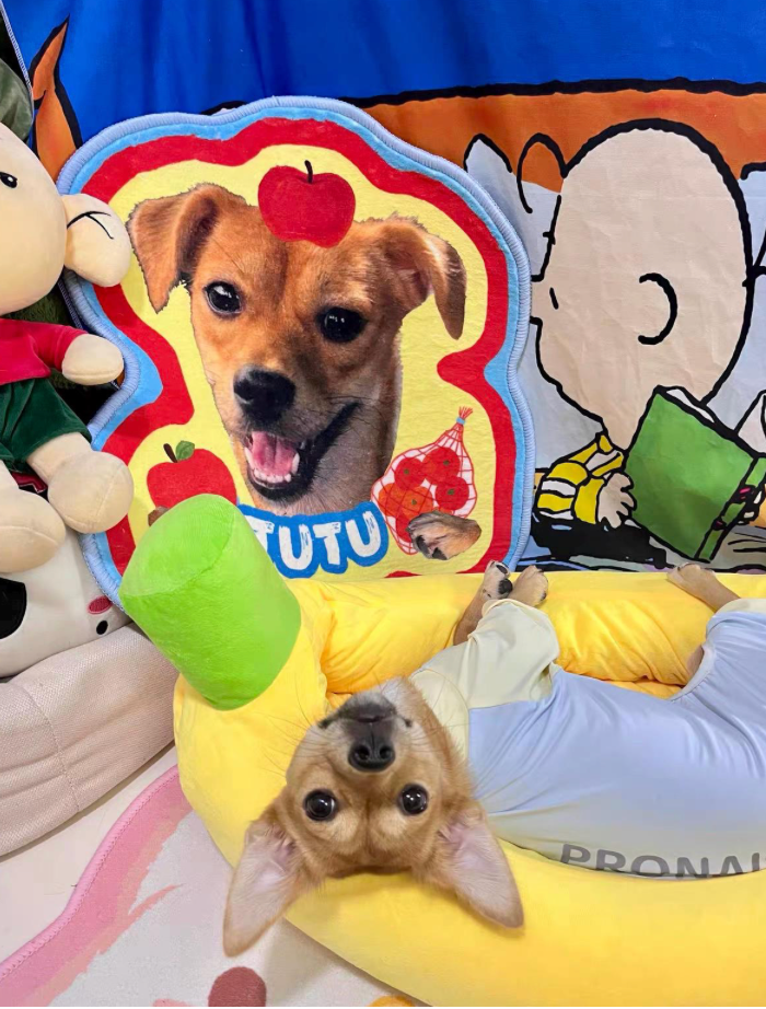 Personalized Pet Memorial Rug