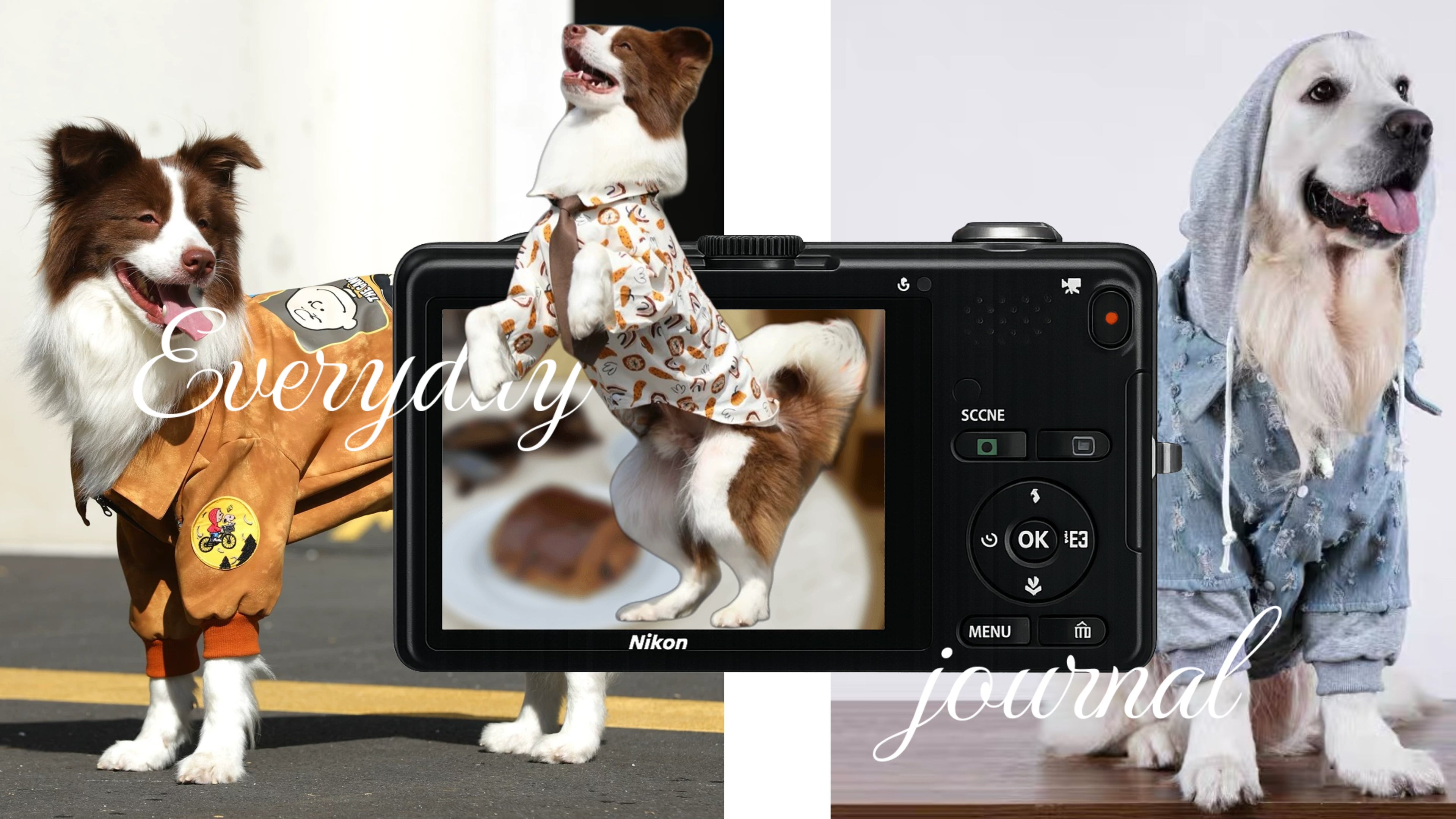 slider image slider_item_bWMQpF