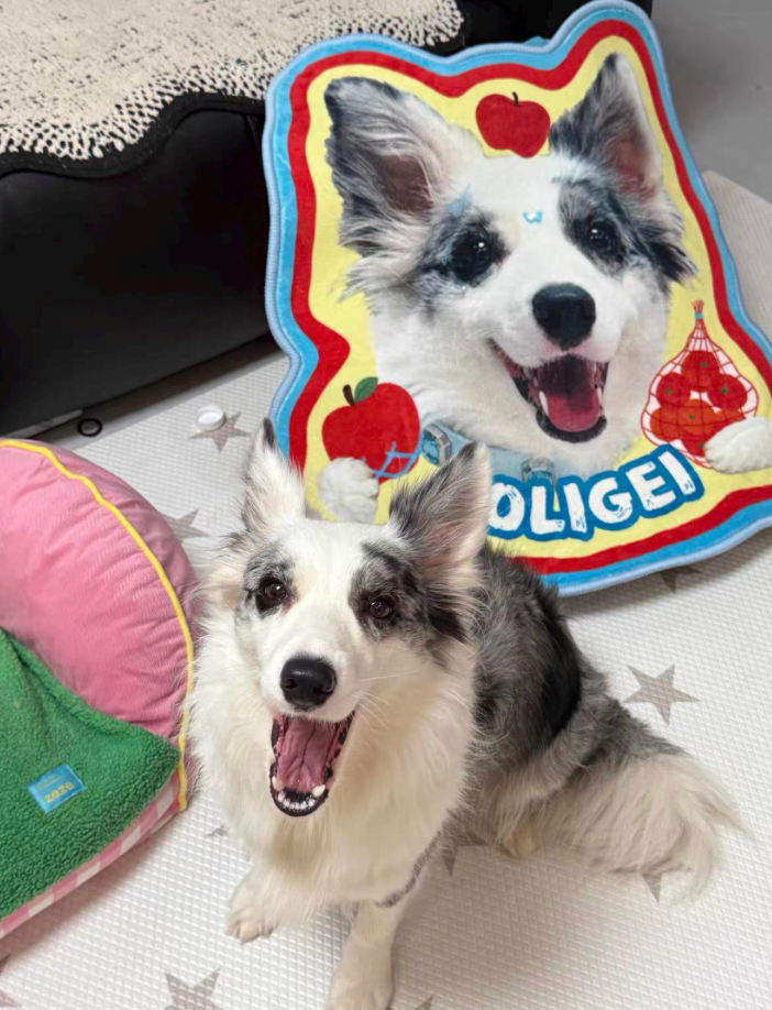 Personalized Pet Memorial Rug