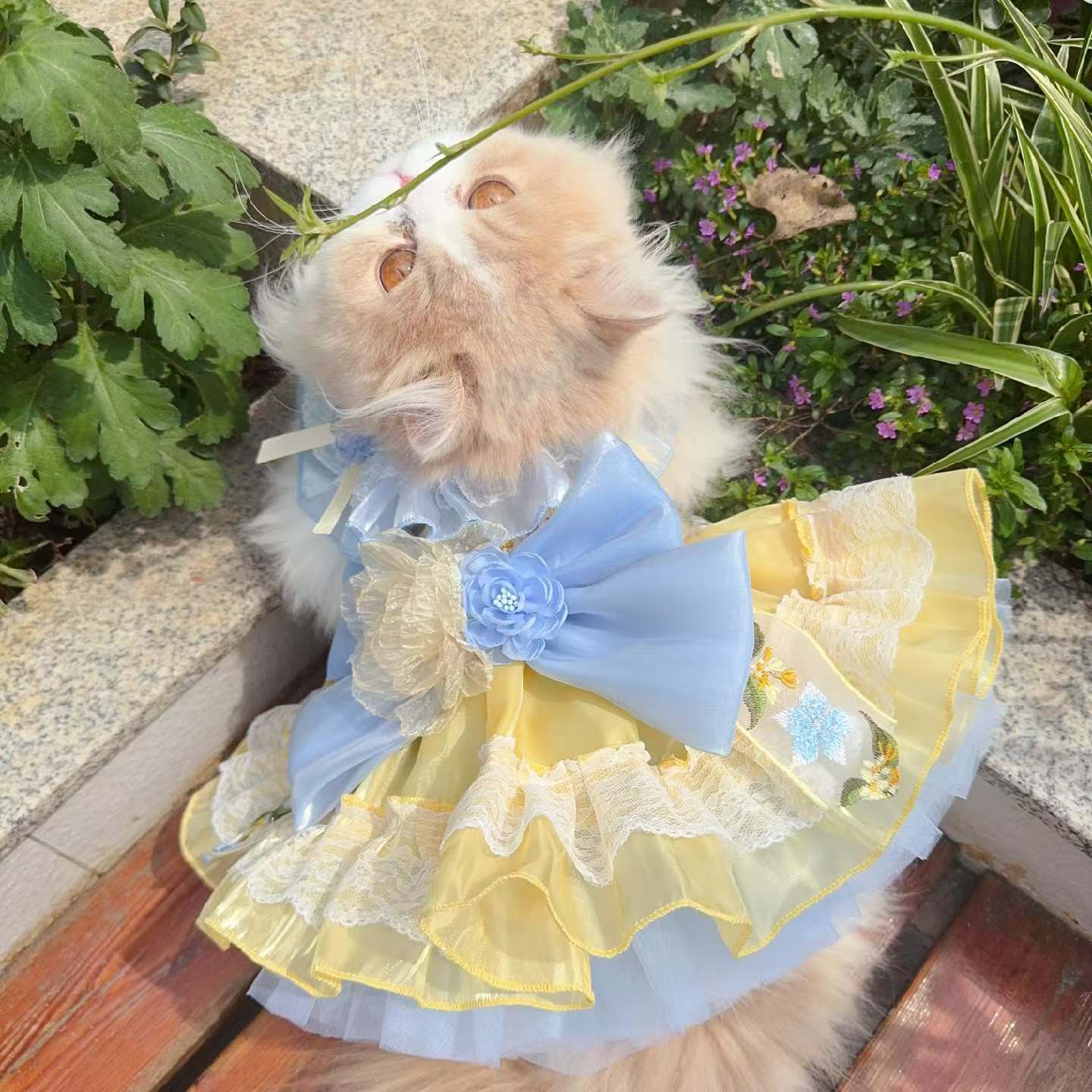 Lemonade Dreams Petal Tiered Gown