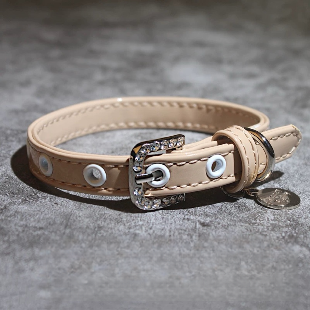 The Elegant Rose Lace Collar