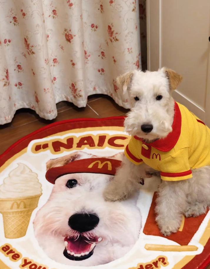 Personalized Pet Memorial Rug