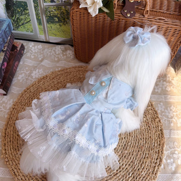 The Blue Birdie