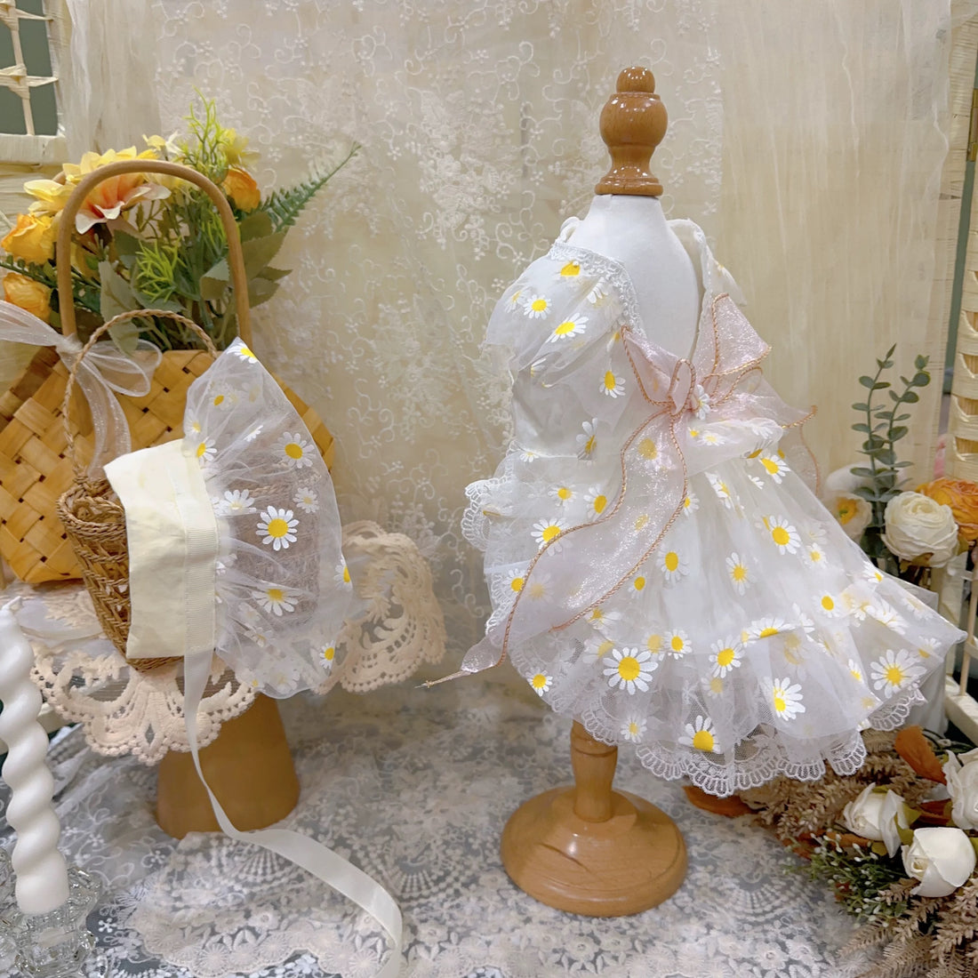 Sheer Daisy Bloom Set