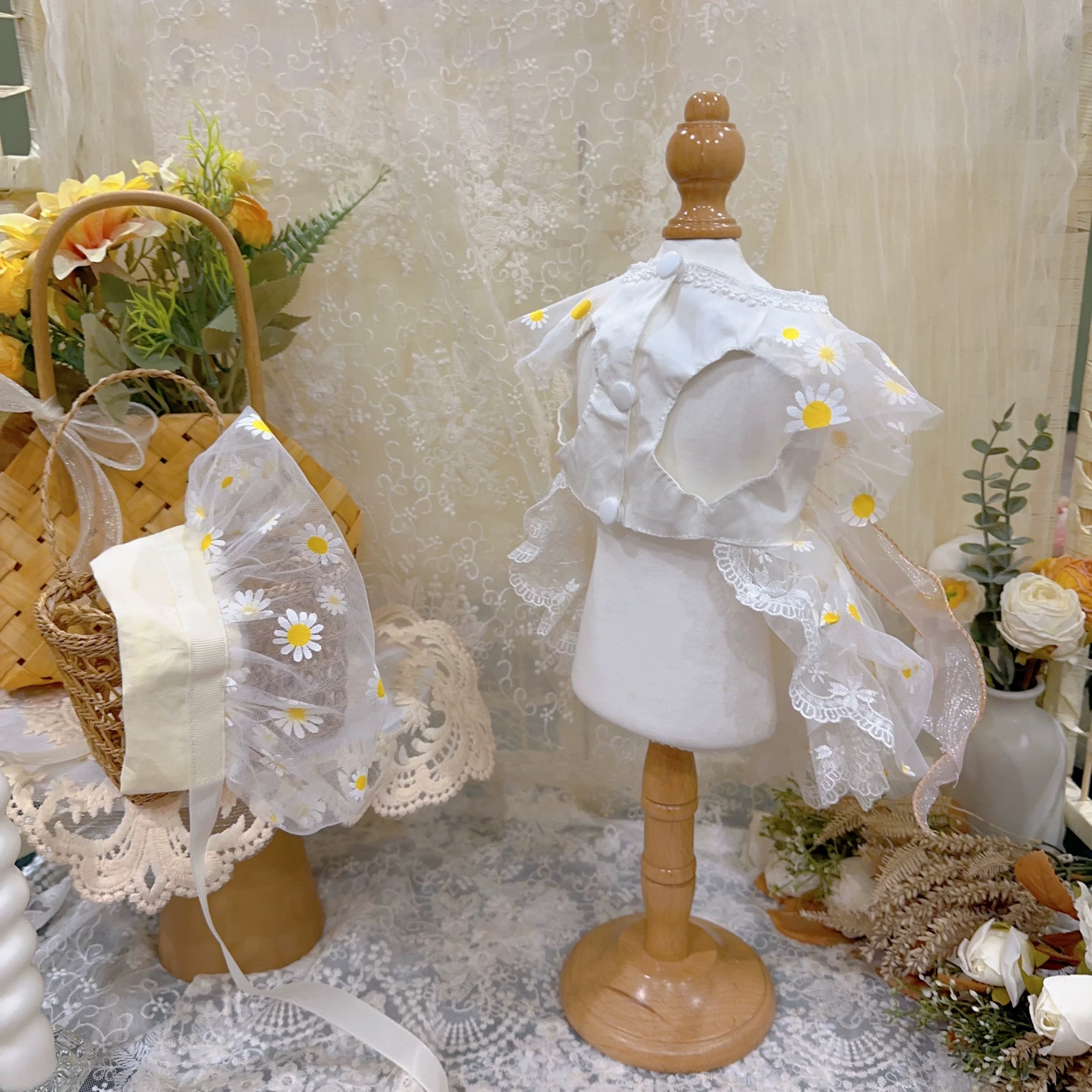 Sheer Daisy Bloom Set