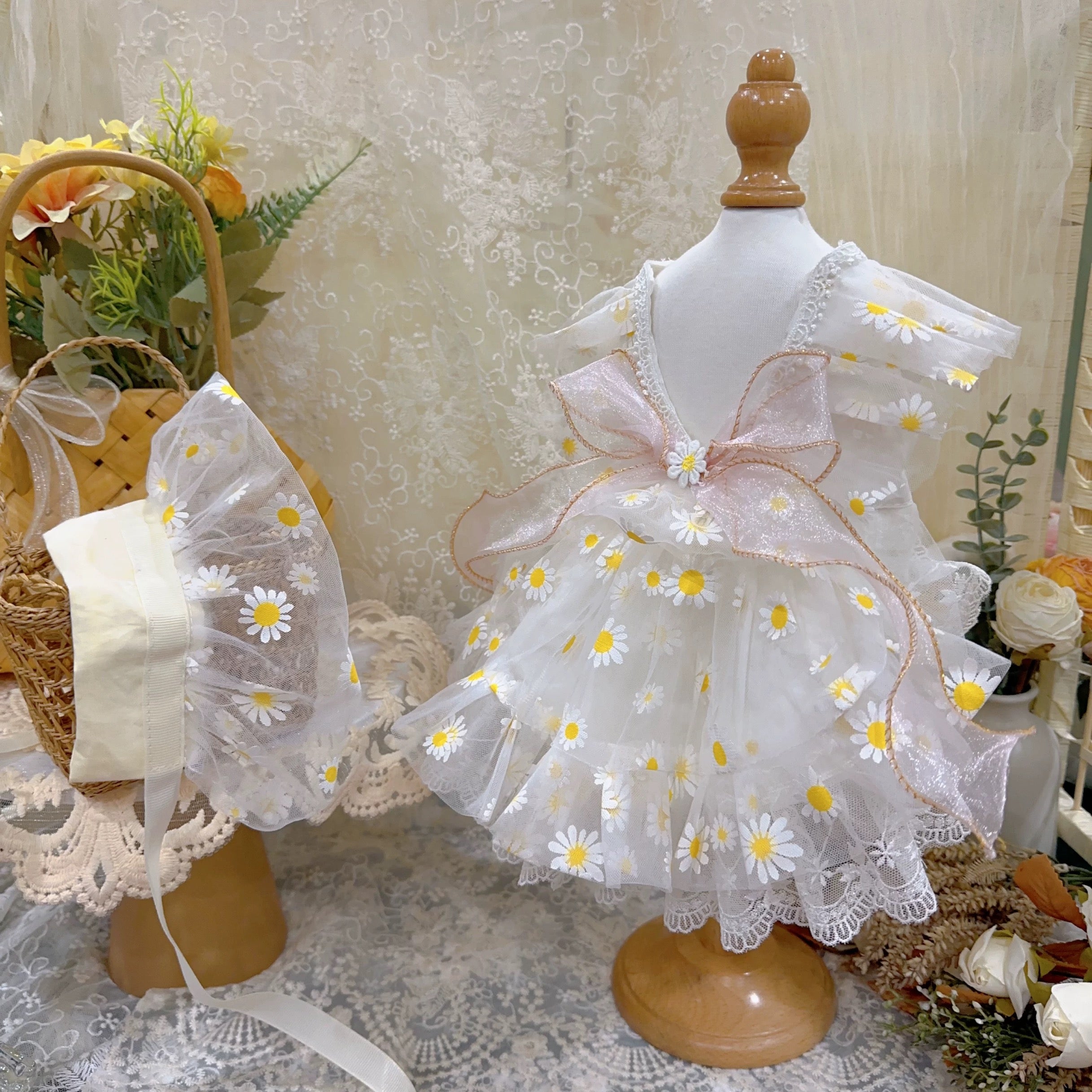 Sheer Daisy Bloom Set