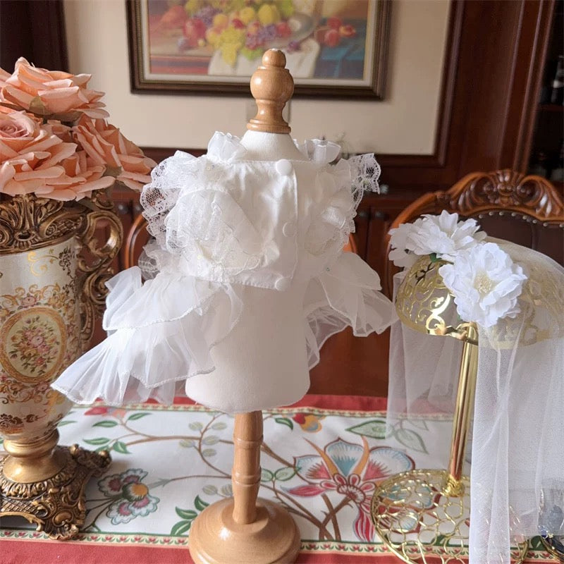The Pearl Shell Aesthetic