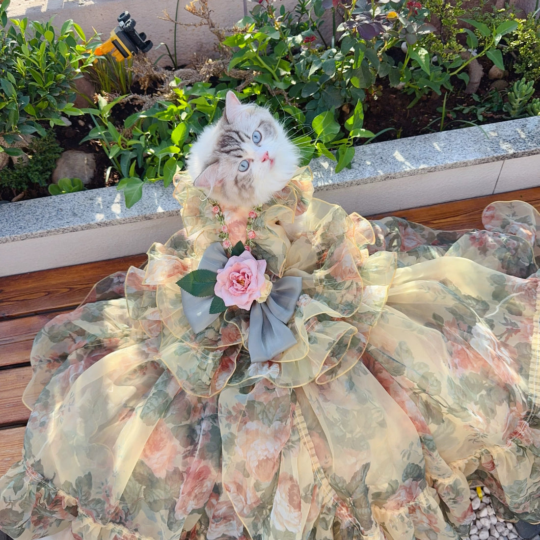 Vintage Petal Symphony