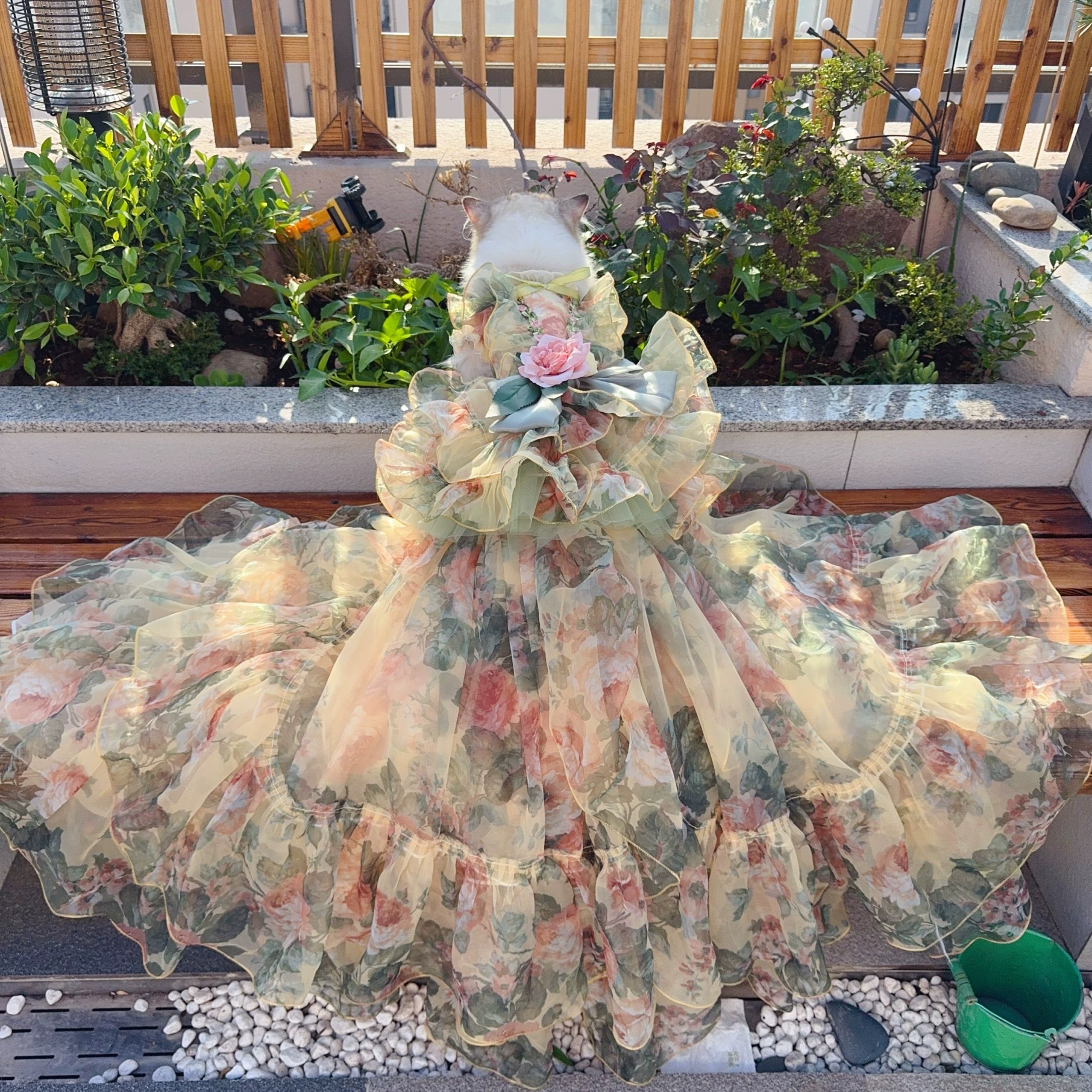 Vintage Petal Symphony