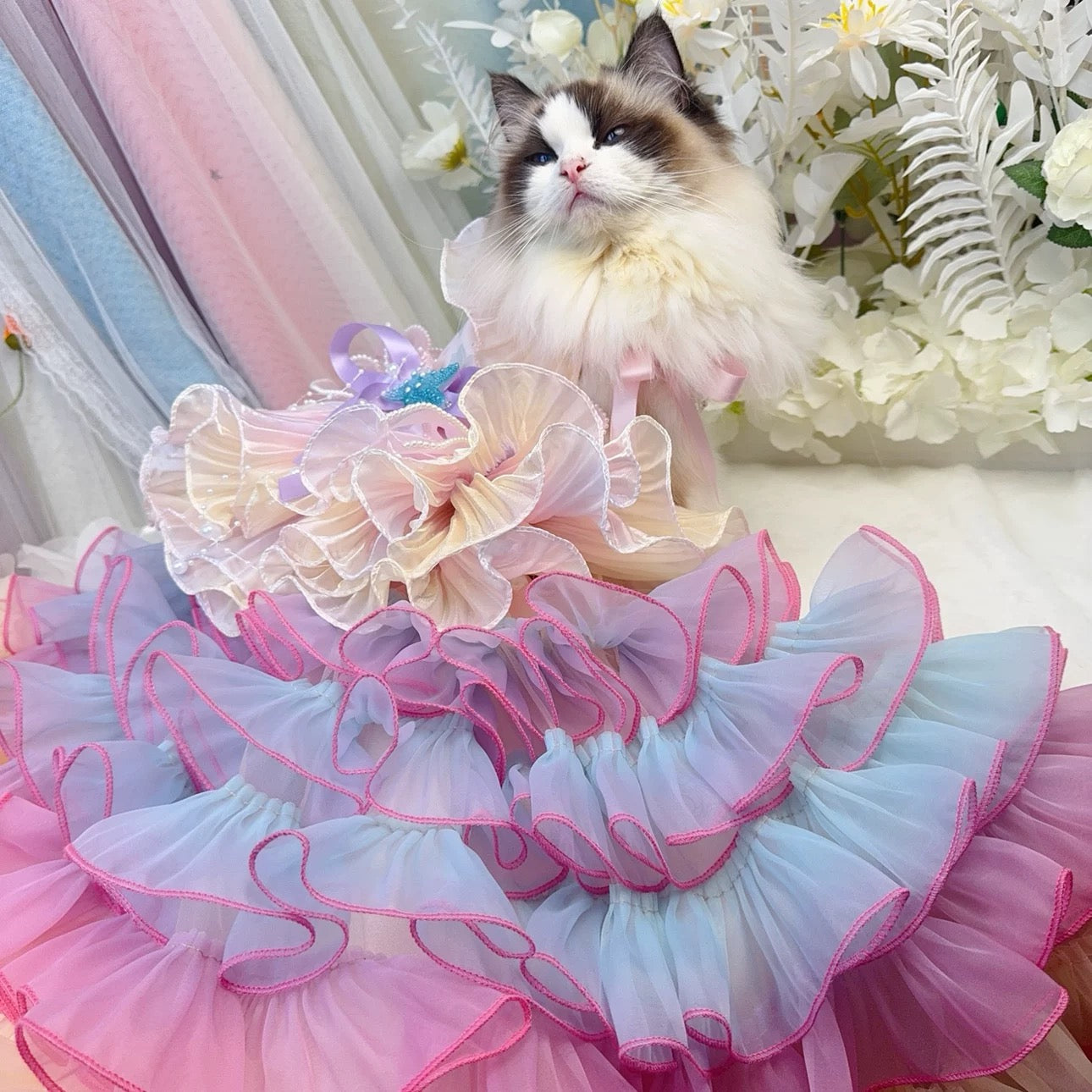 Falling Petal Waltz