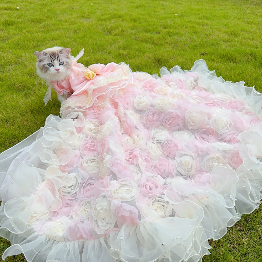 Rosé Chime · The Symphony of Petals