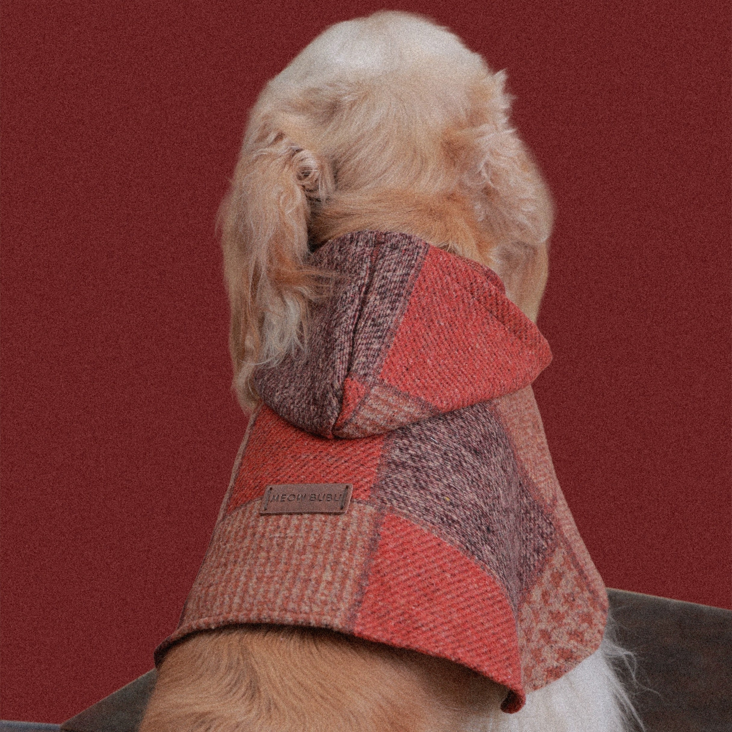 The Palette of Autumn Wool pet cape