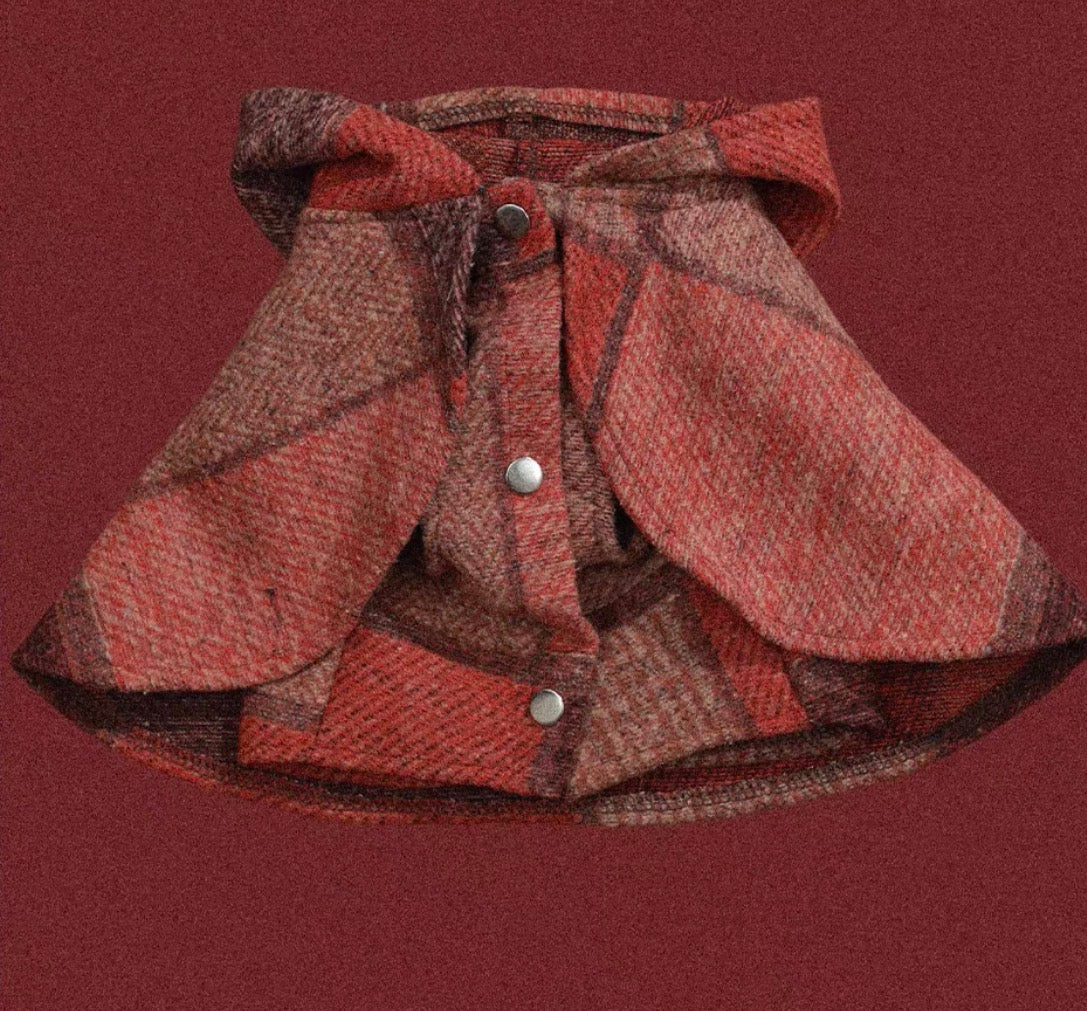 The Palette of Autumn Wool pet cape