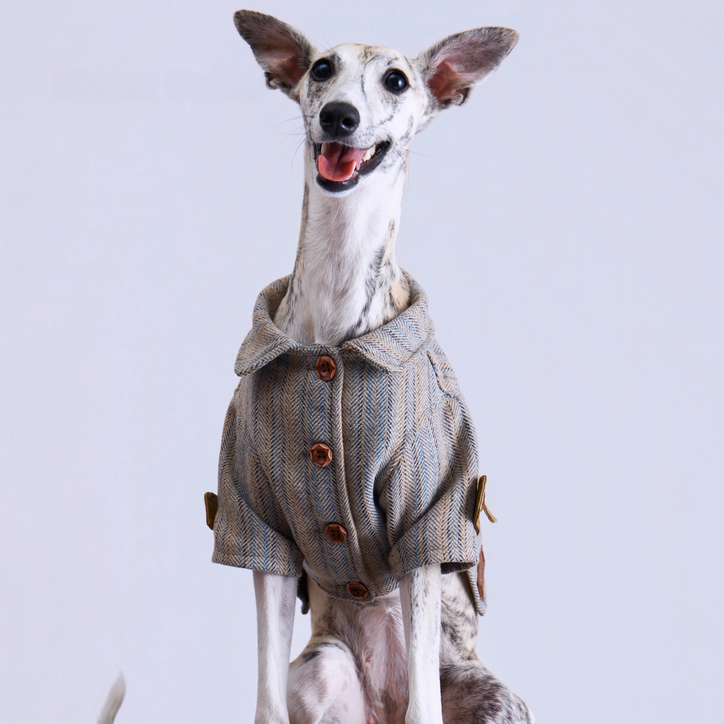 The Baker Street Detective Trench