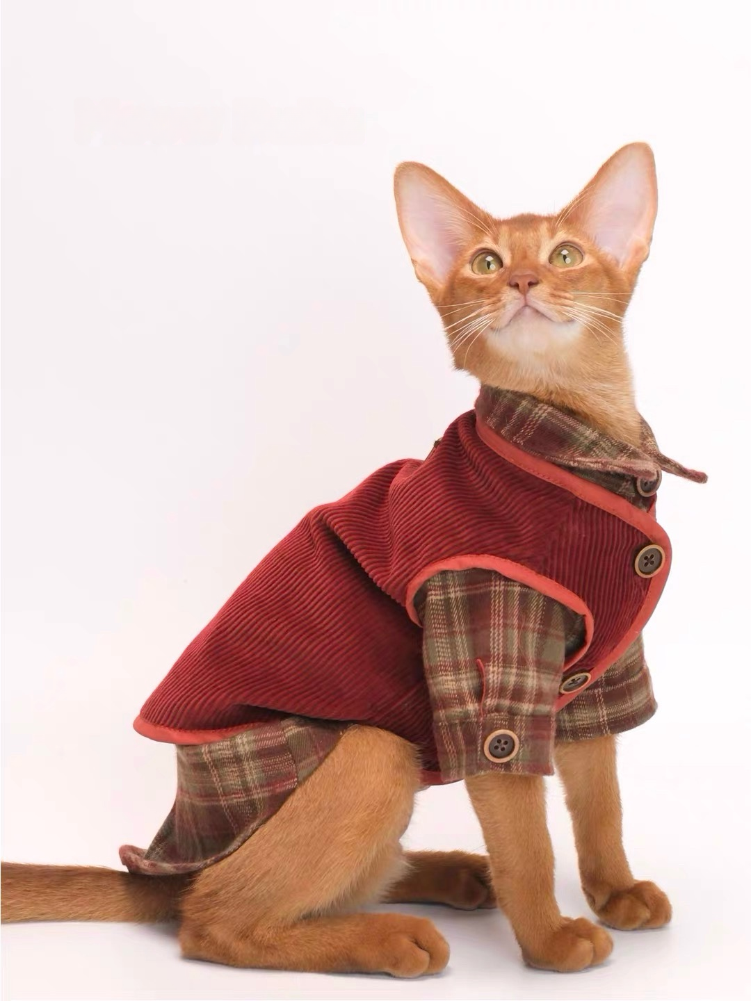 Vintage Academic Wear