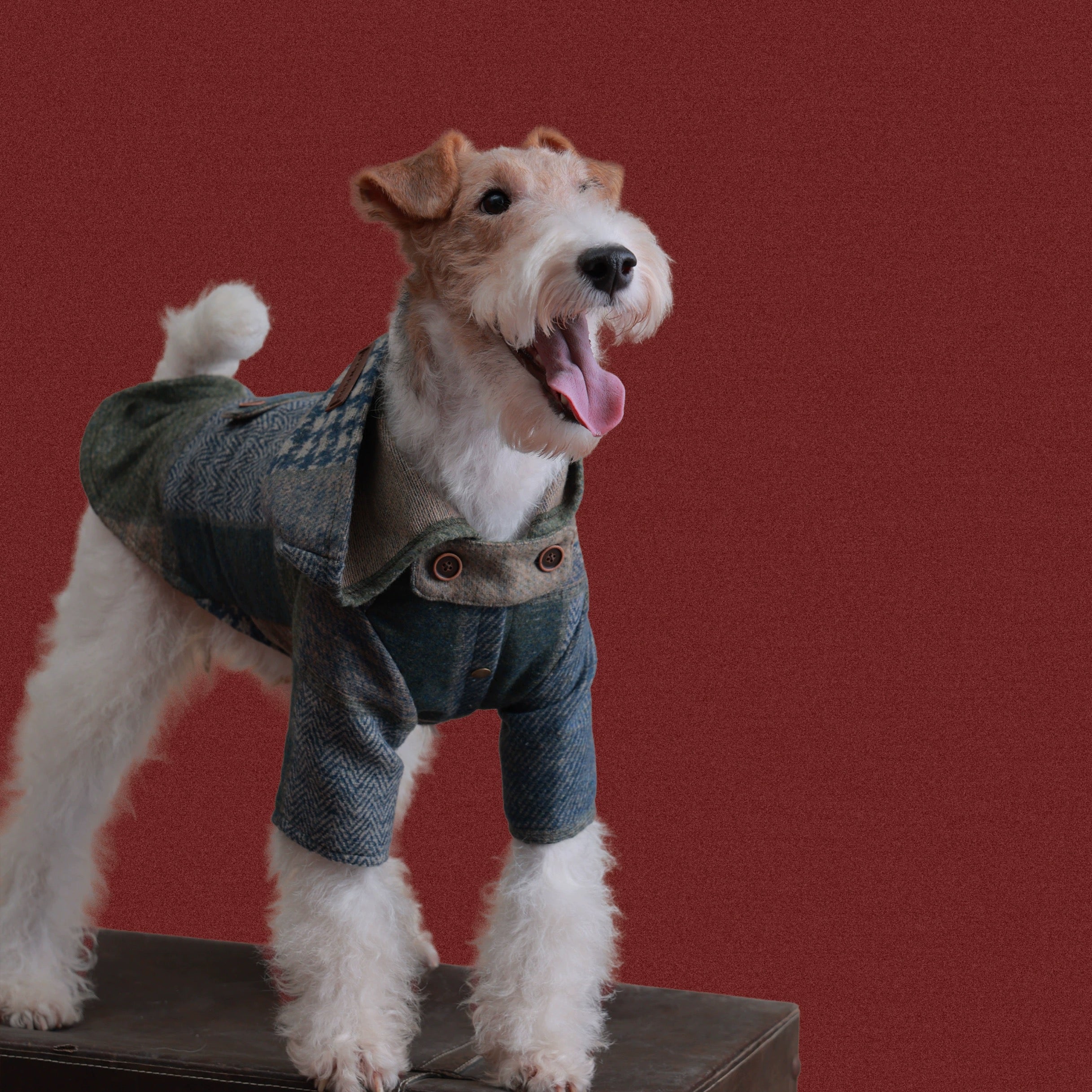 The Highland Patchwork Traveler Cape