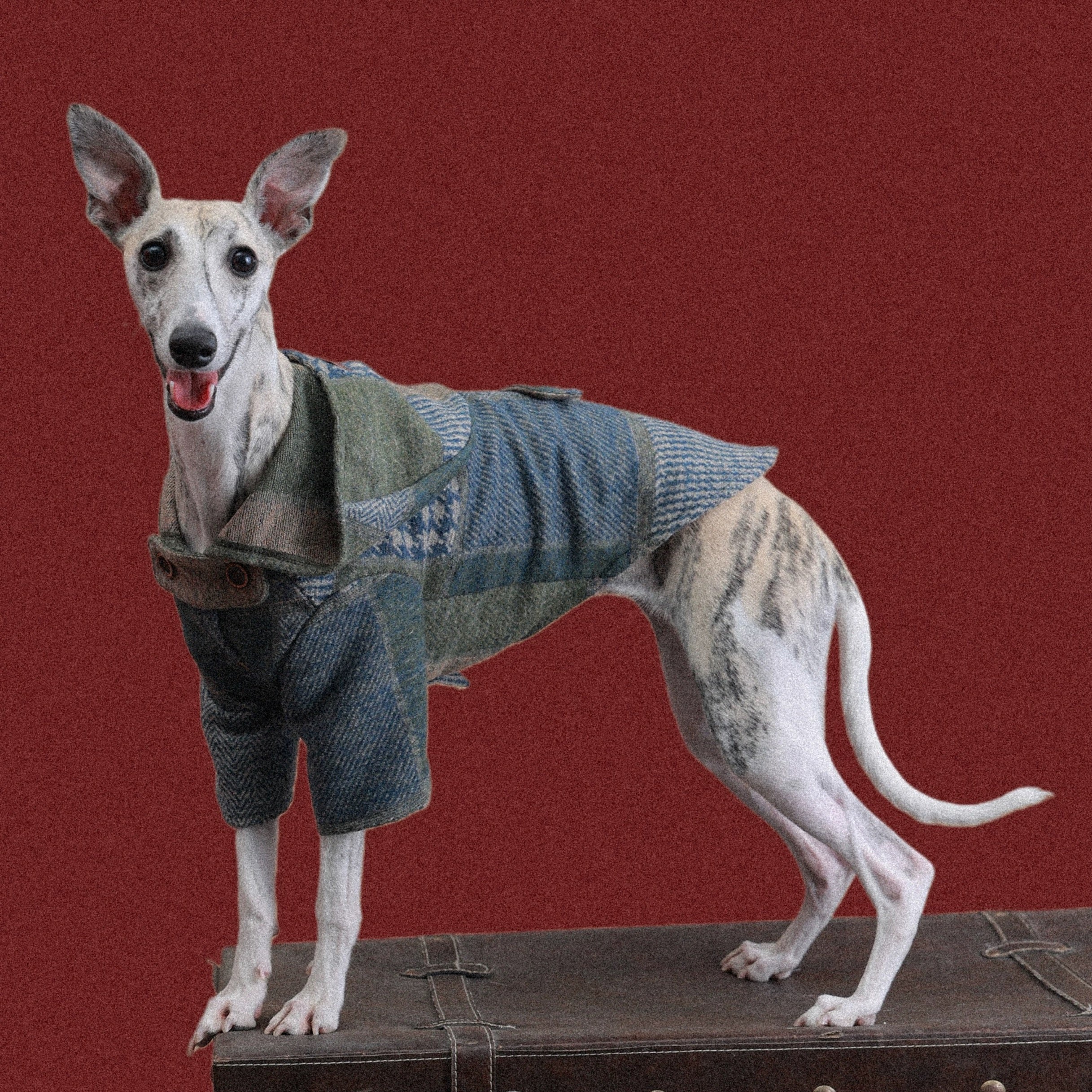 The Highland Patchwork Traveler Cape