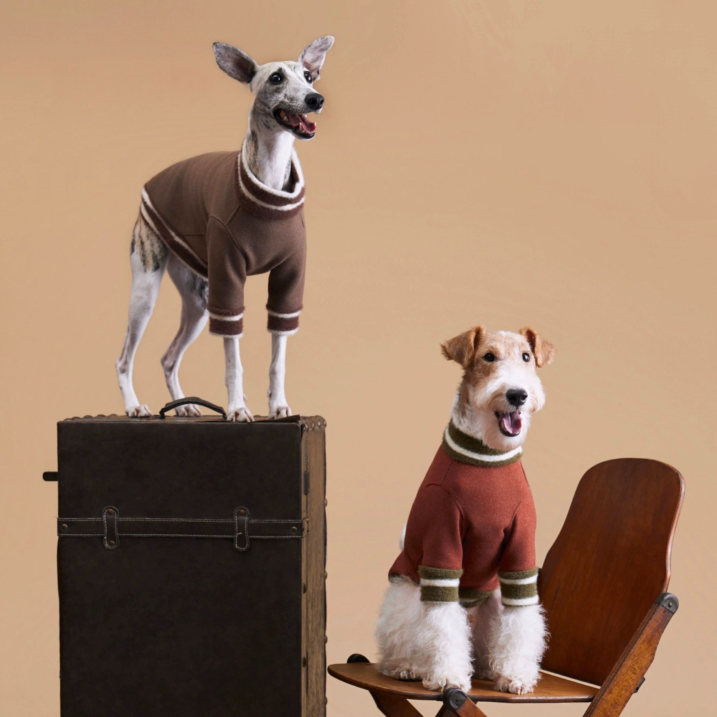 The Varsity Voyager Sweater