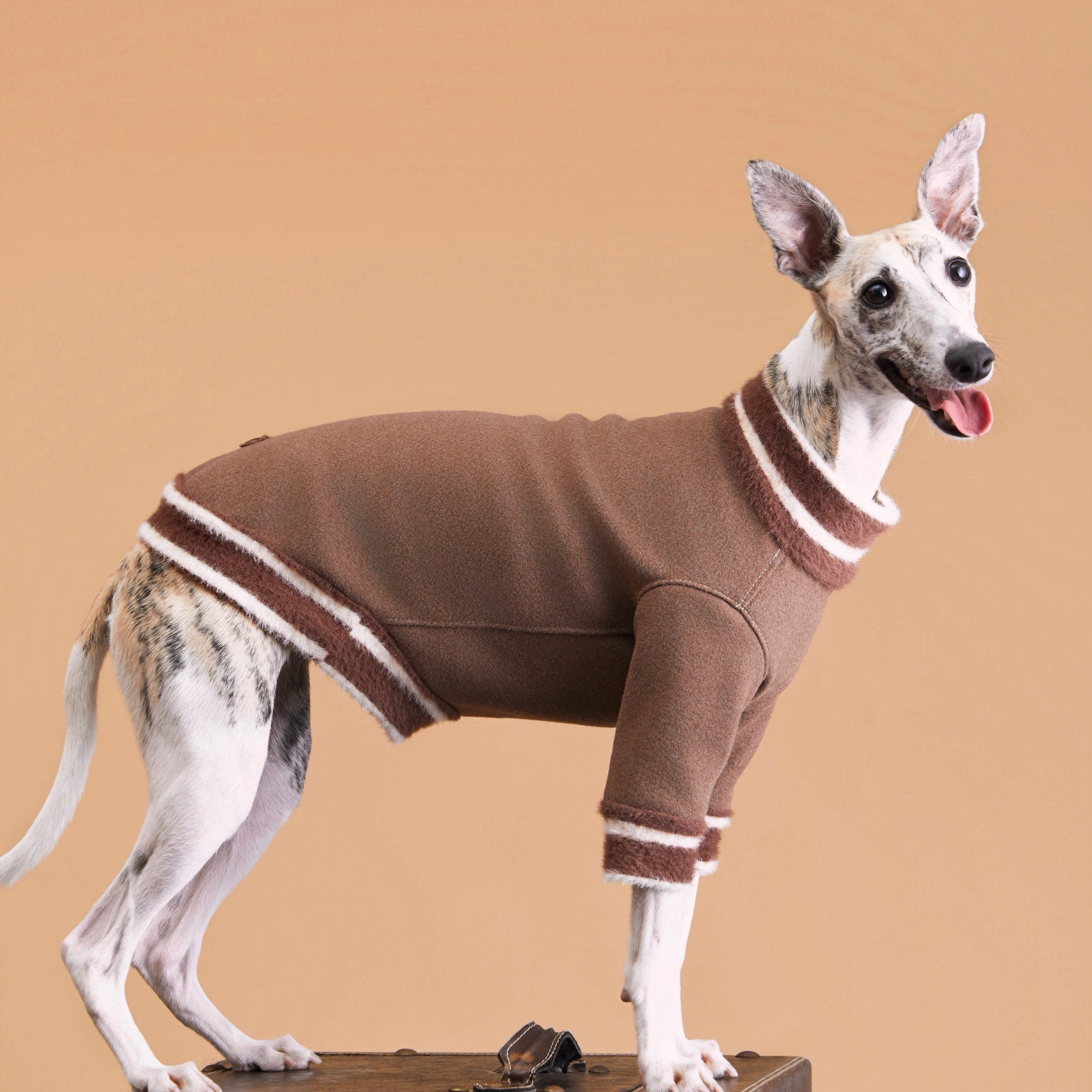 The Varsity Voyager Sweater