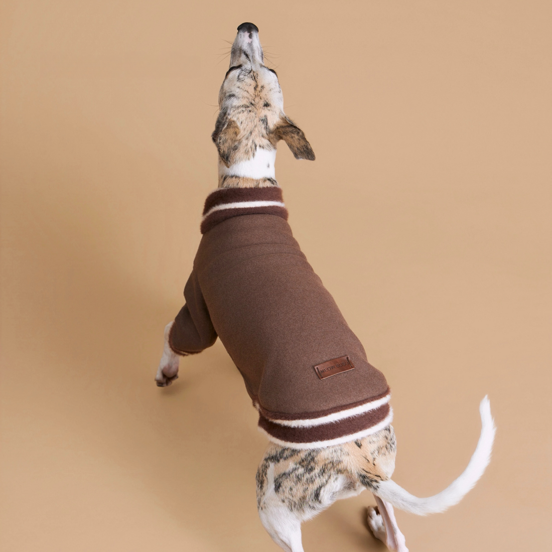 The Varsity Voyager Sweater