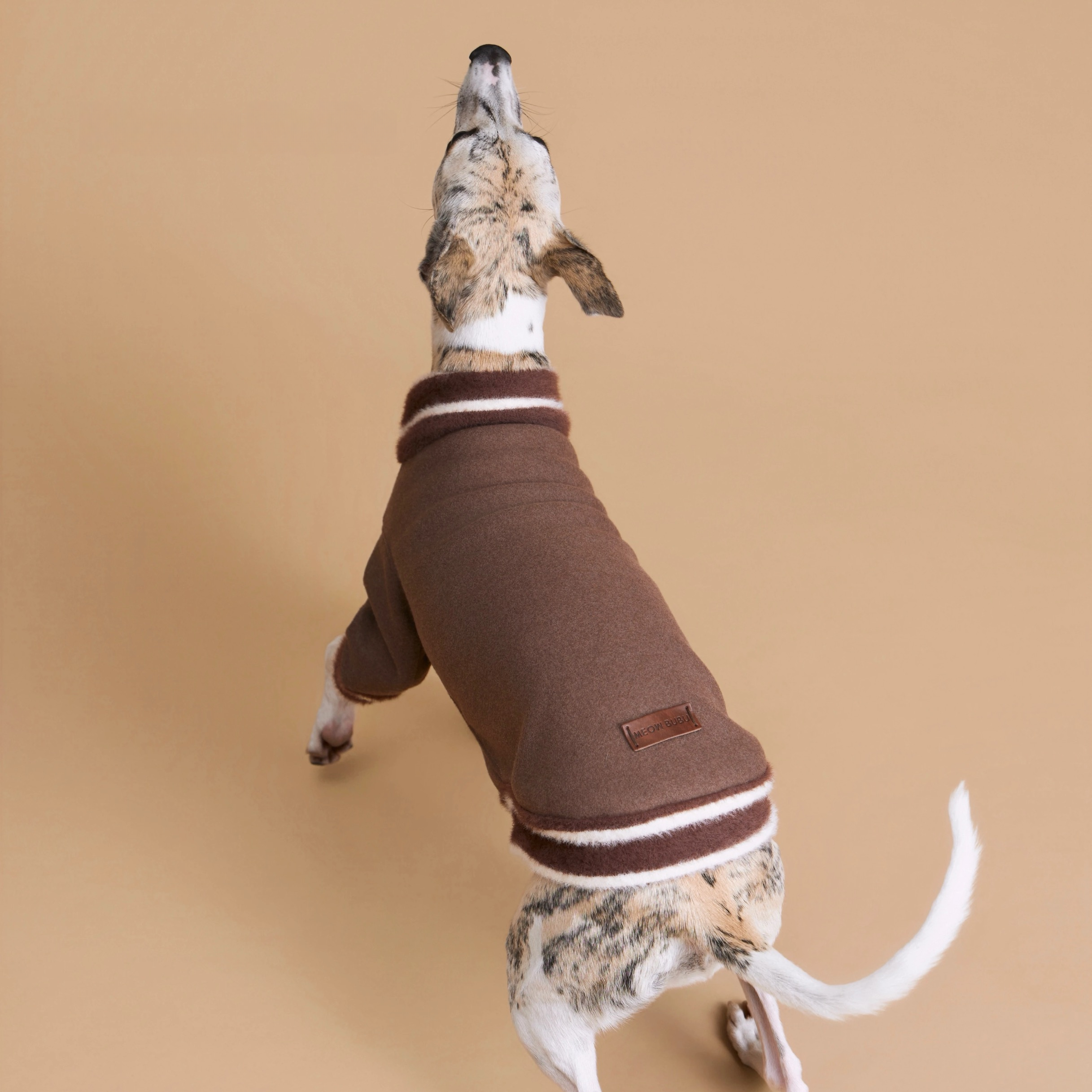 The Varsity Voyager Sweater