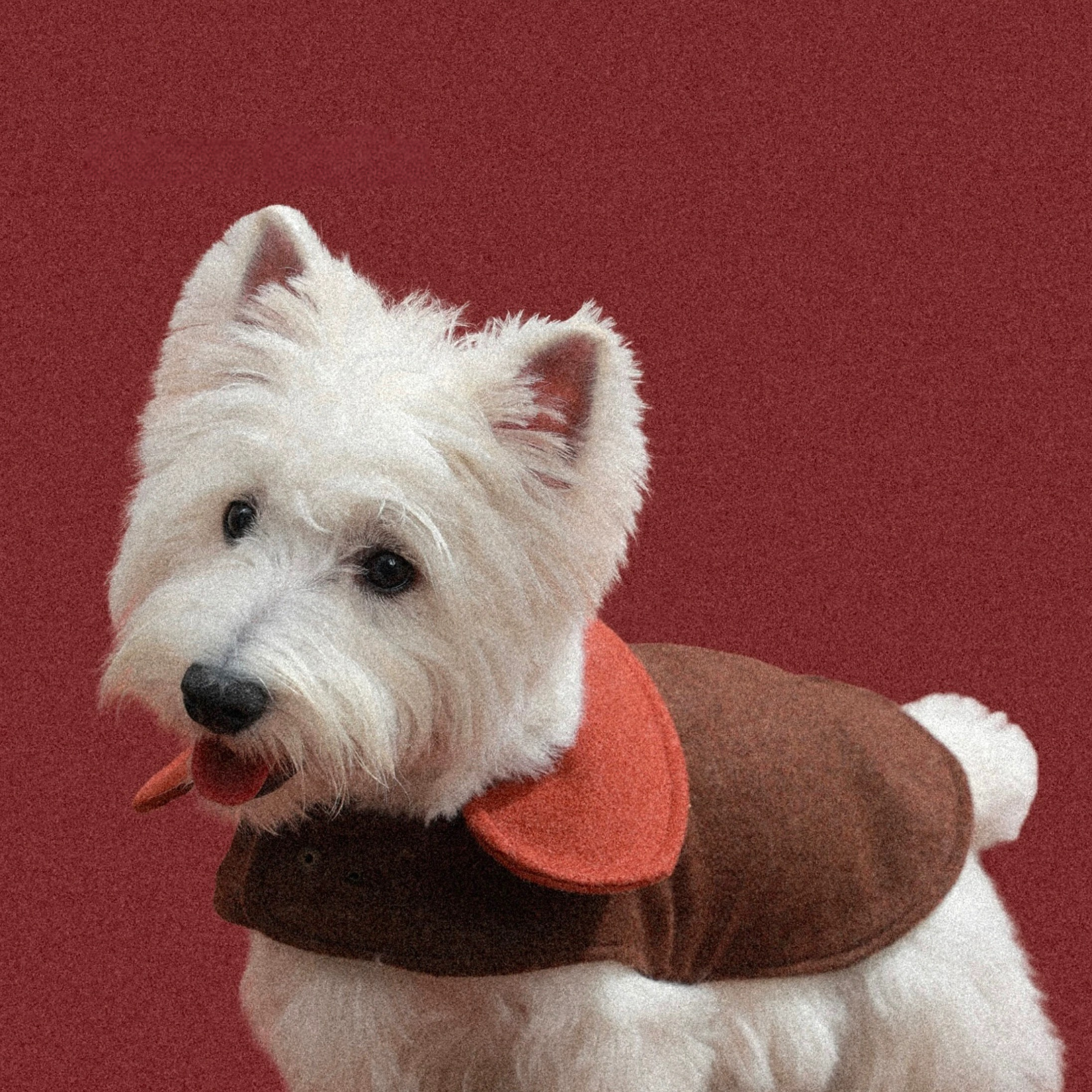 The Hearthside Glow Reversible Cape