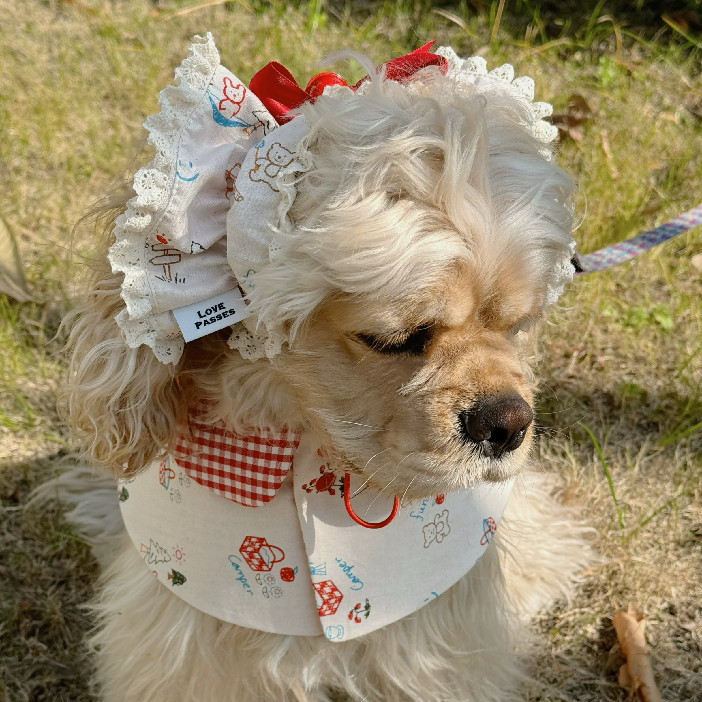 The Berry Forest Series collection