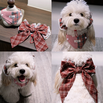 Red Plaid Festive Fido Set: Ear Flower & Reversible Bandana