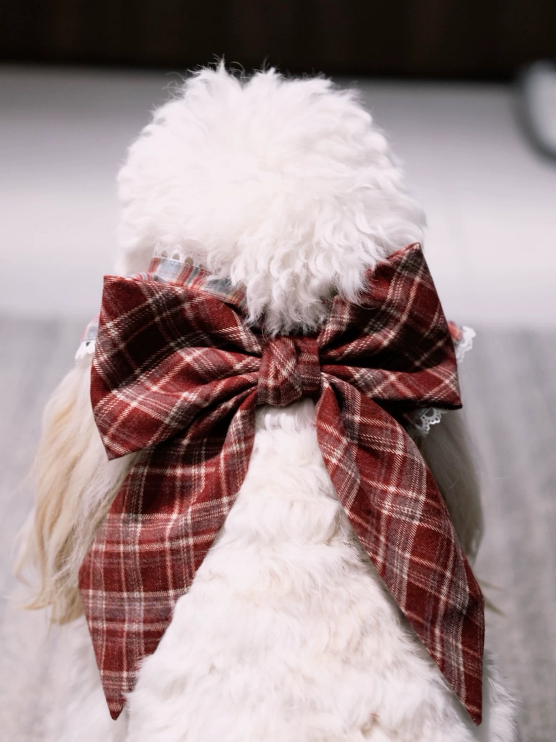 Red Plaid Festive Fido Set: Ear Flower & Reversible Bandana