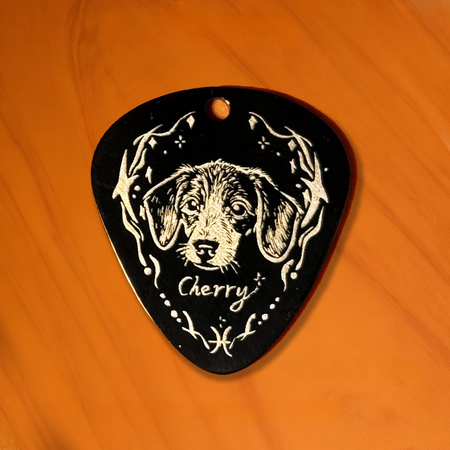 Custom Pet Portrait Guitar Pick Necklace, Titanium Steel Commemorative Pendant