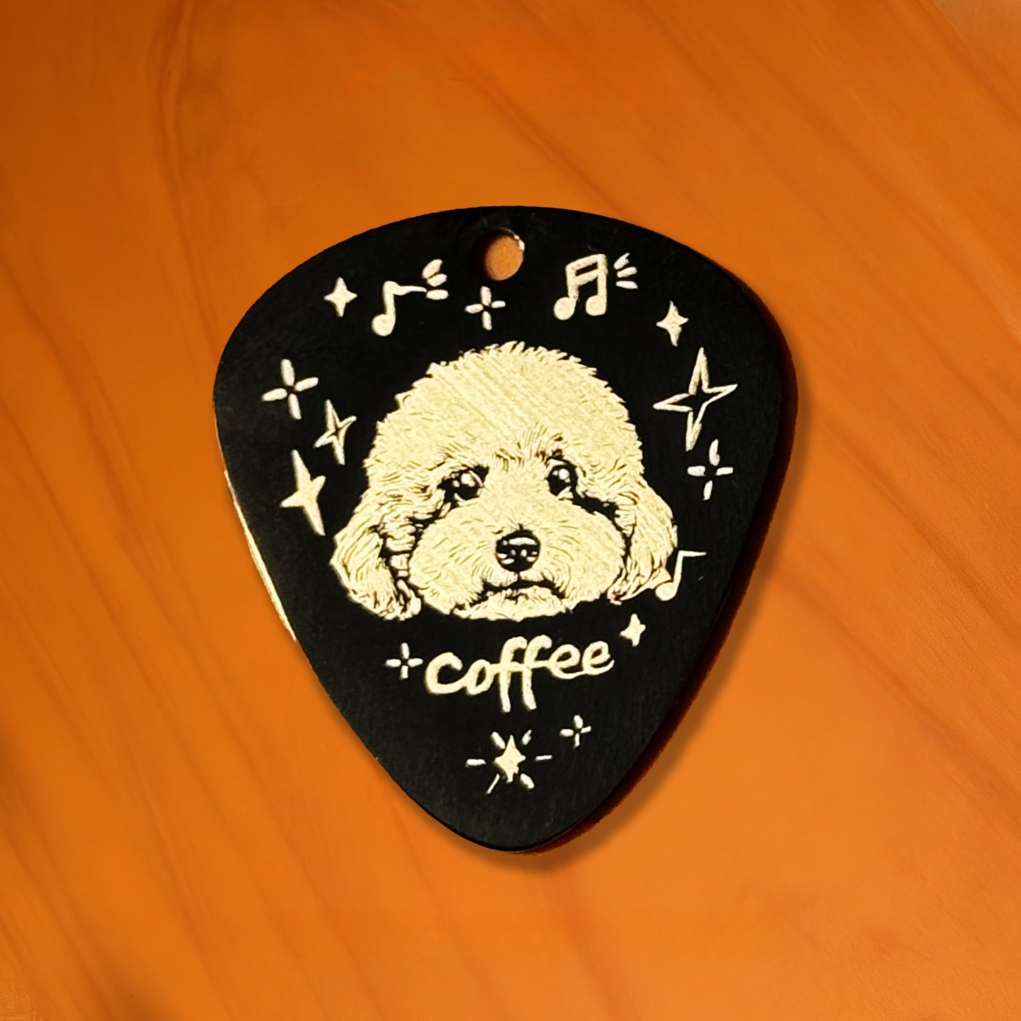 Custom Pet Portrait Guitar Pick Necklace, Titanium Steel Commemorative Pendant