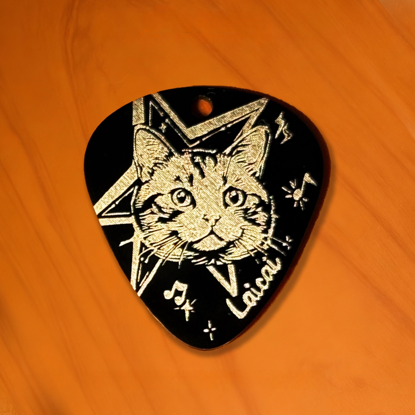 Custom Pet Portrait Guitar Pick Necklace, Titanium Steel Commemorative Pendant