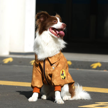 Camp Snoopy Adventure Jacket