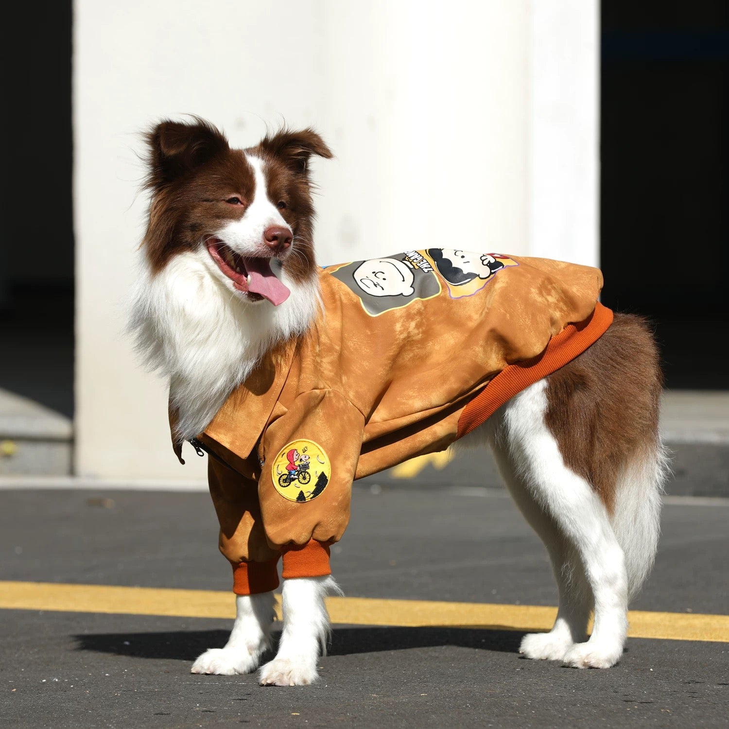 Camp Snoopy Adventure Jacket
