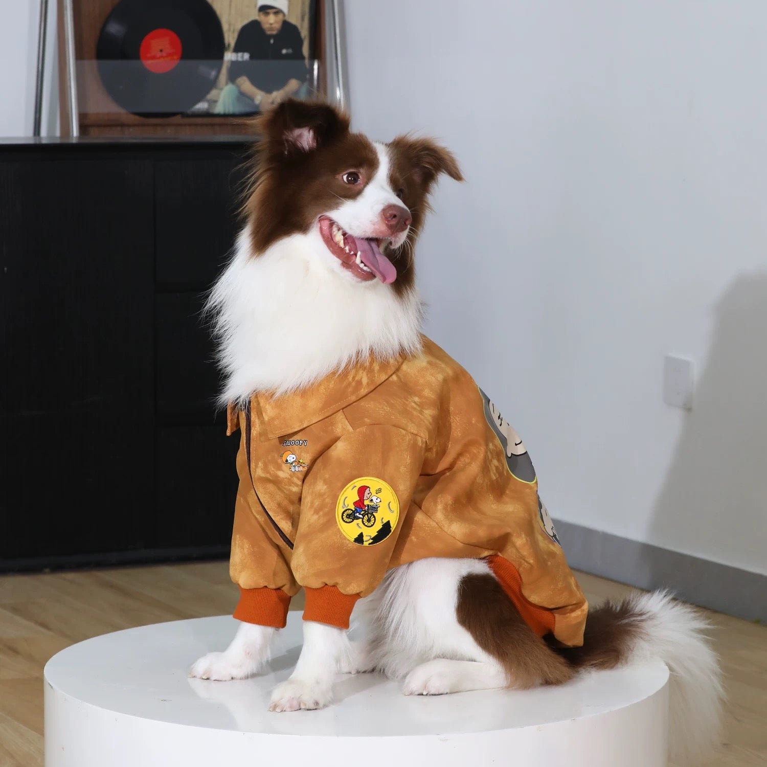 Camp Snoopy Adventure Jacket