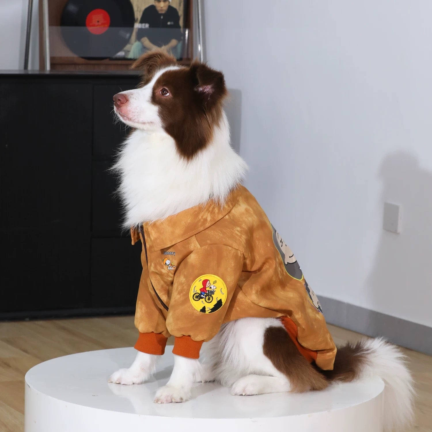 Camp Snoopy Adventure Jacket