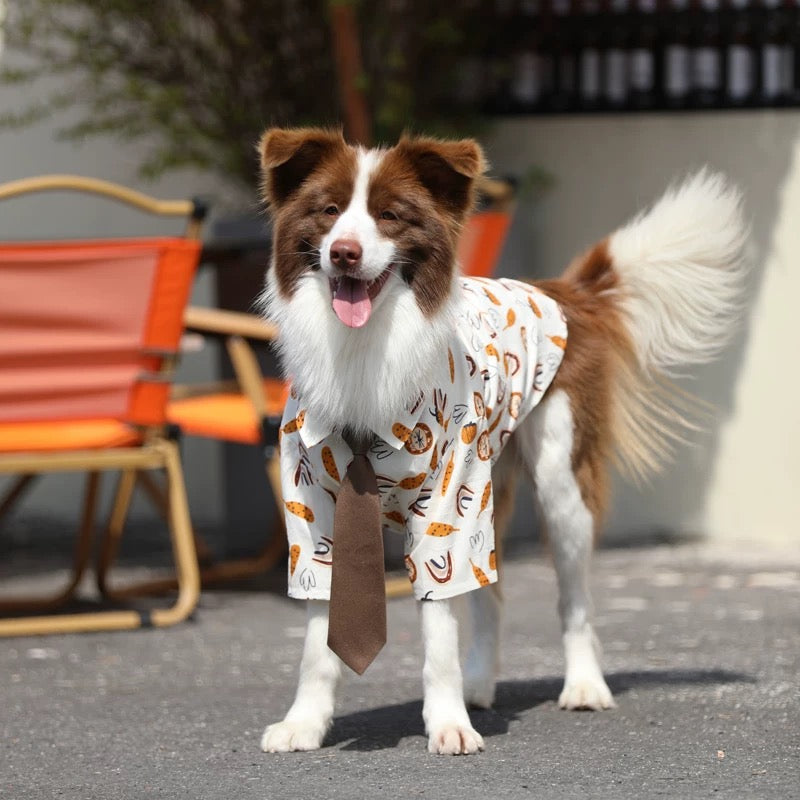 The Executive Pup