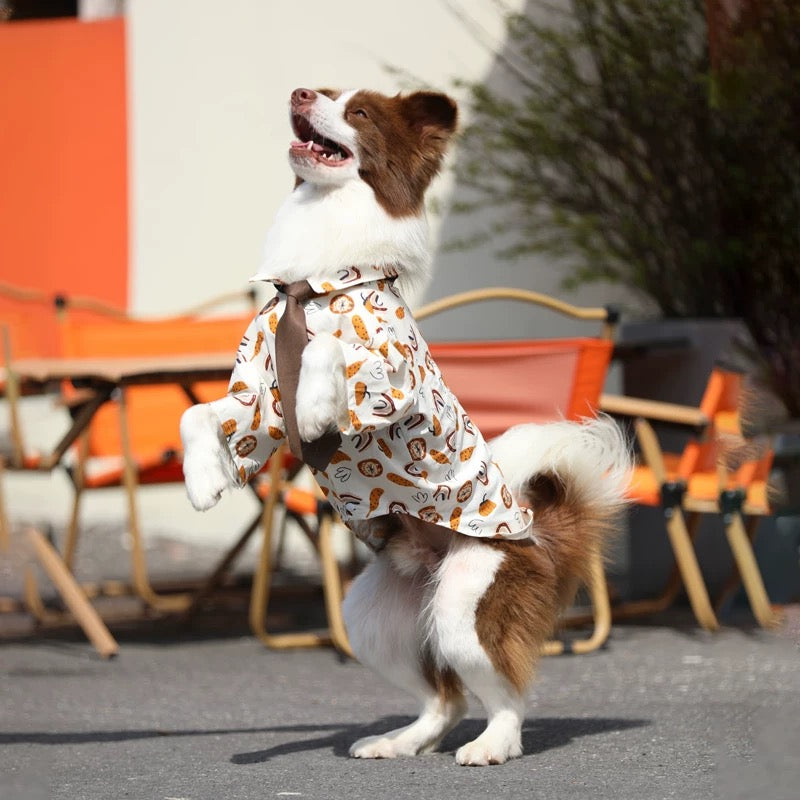 The Executive Pup