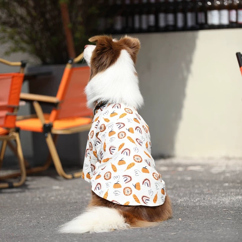 The Executive Pup