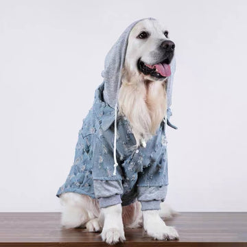 Street Style Denim